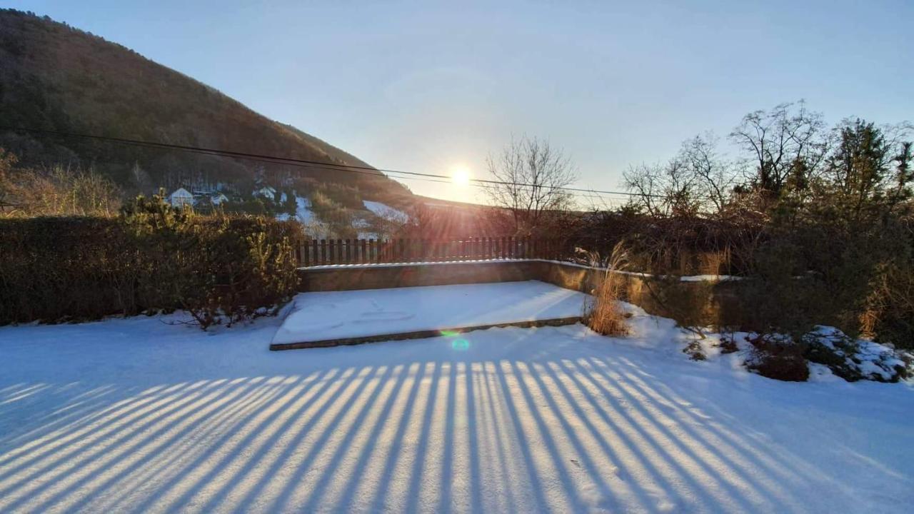 Garden View Villa Drienica Bagian luar foto