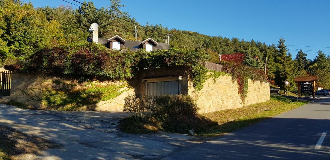 Garden View Villa Drienica Bagian luar foto